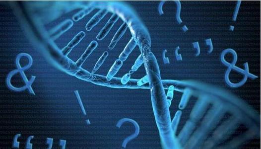 司法親子鑒定費用及流程
